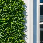 Home 12 거리공연과 대화형 공연 - Here are three detailed image prompts in English, adhering to all guidelines: